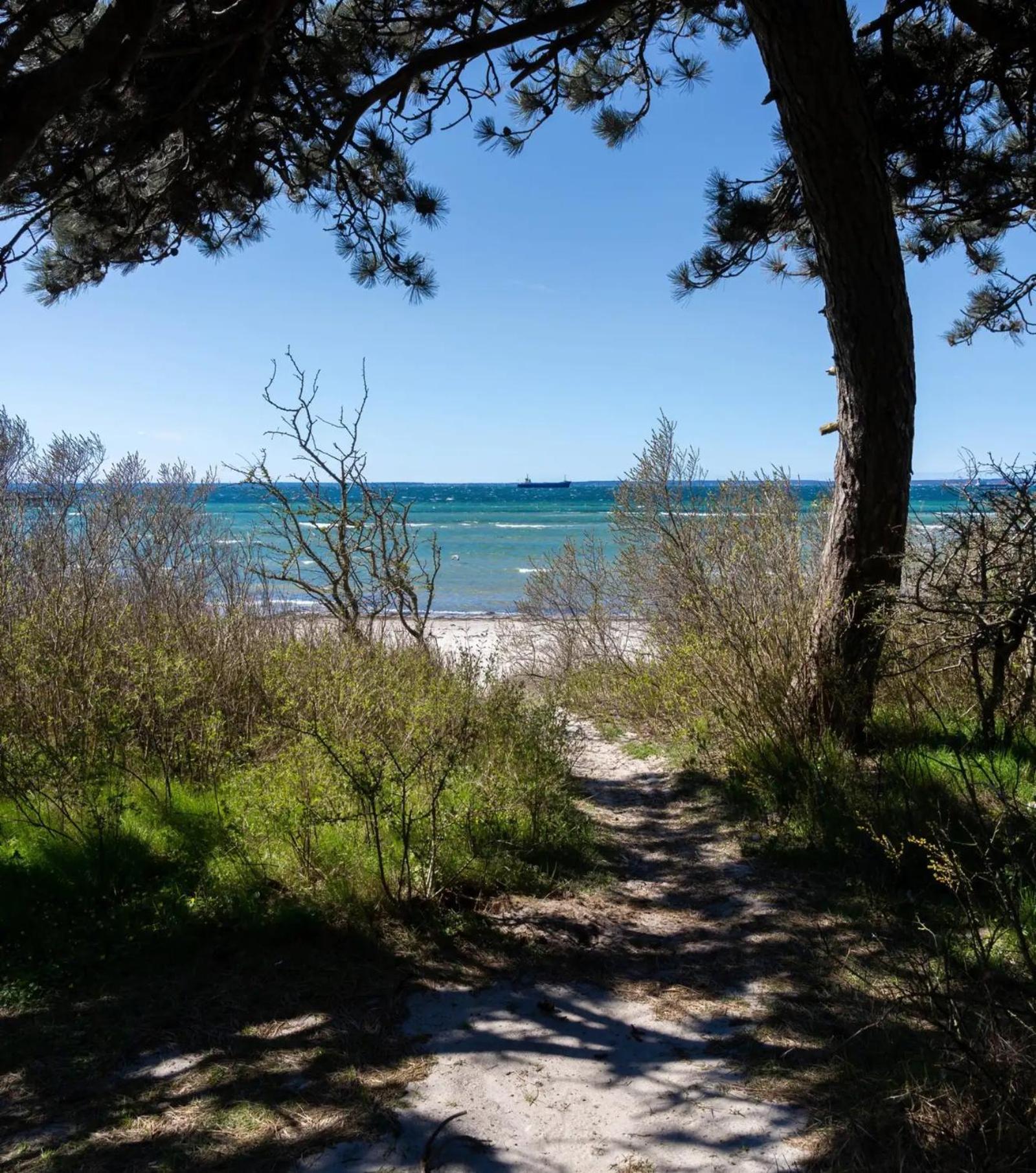 Beach Camp Höganäs Kültér fotó